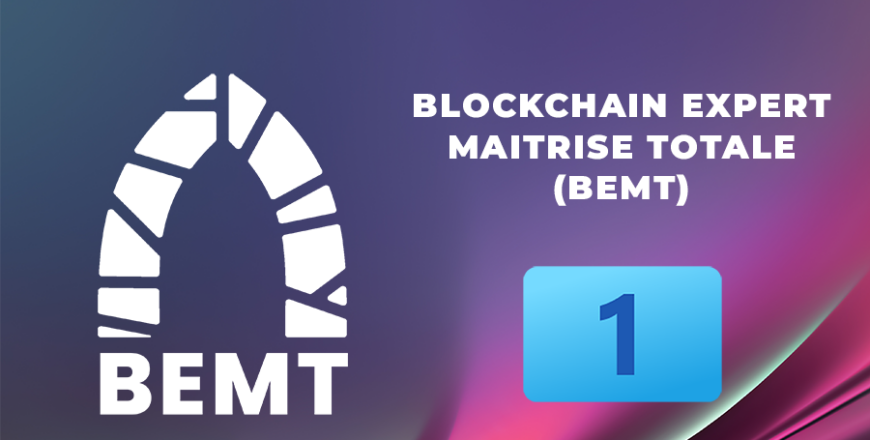 Blockchain Expert - Maîtrise Totale - 1 - Blockchain Babel